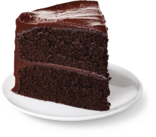 Rich Chocolate Cake - Slice